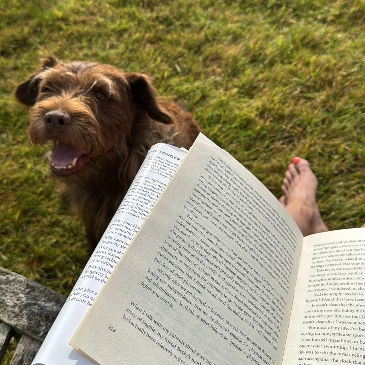 15.7.25
‘It’s a good day to have a good day.’ π
It doesn’t take much to make it a good day. 
Wholesome early starts outside sitting in nature:
Sunshine β
 
Loyal pals β
 
Grounding (feet in earth) β
 
Reading β
 
Birdsong β
Te