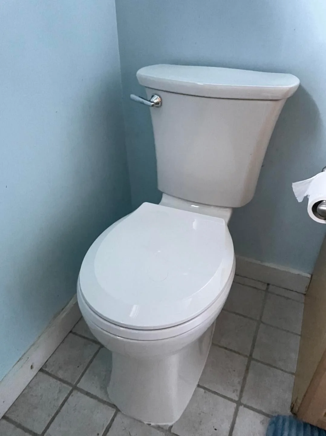 Toilet Installation, Red Hook NY