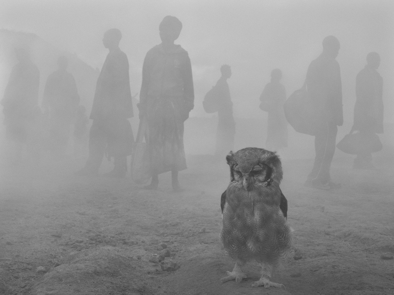 Harriet-and-people-in-fog_Zimbabwe-2020