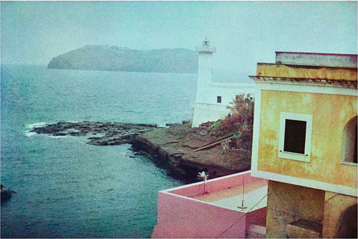 BERNARD PLOSSU