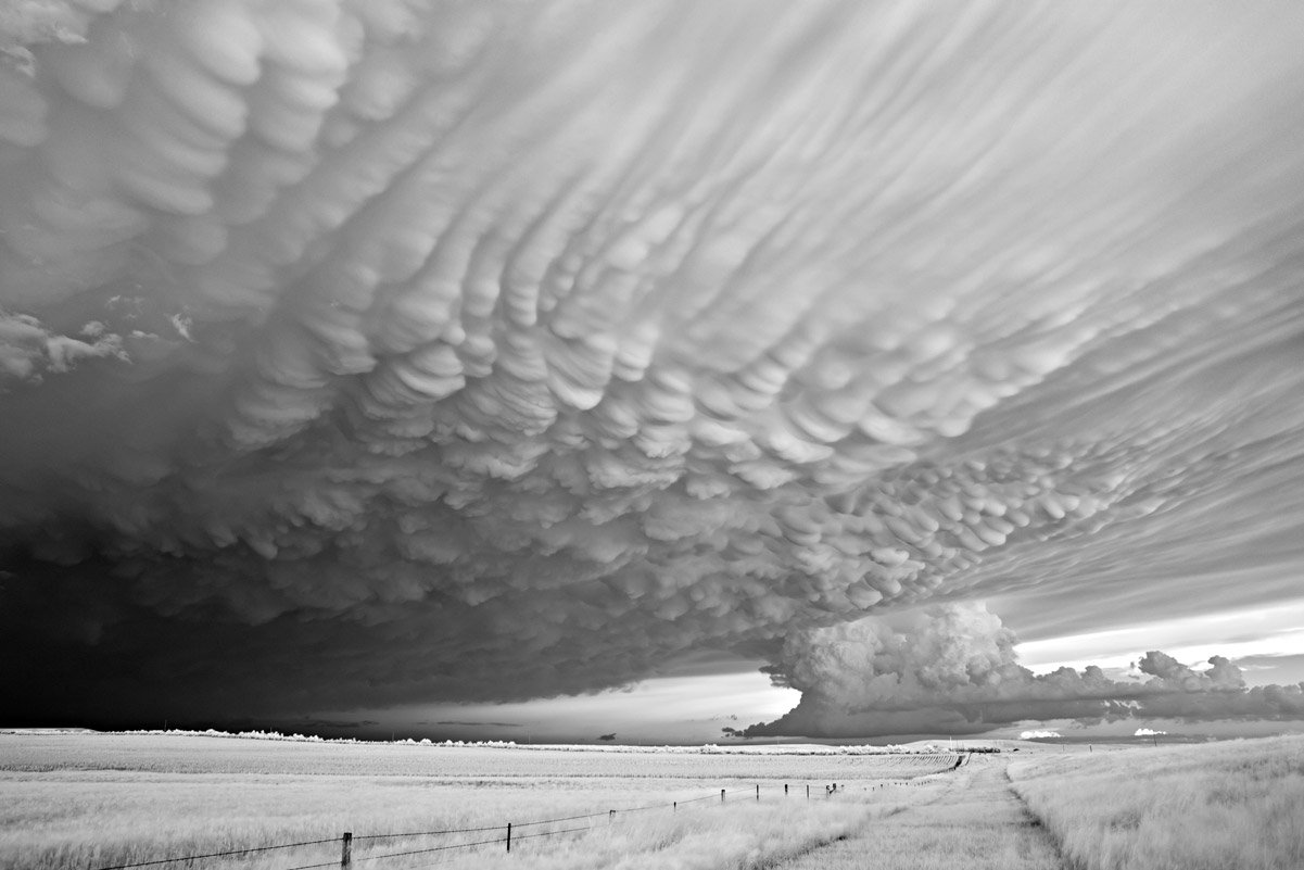 MITCH DOBROWNER