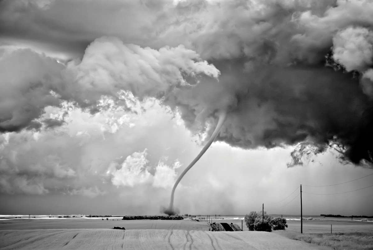 MITCH DOBROWNER