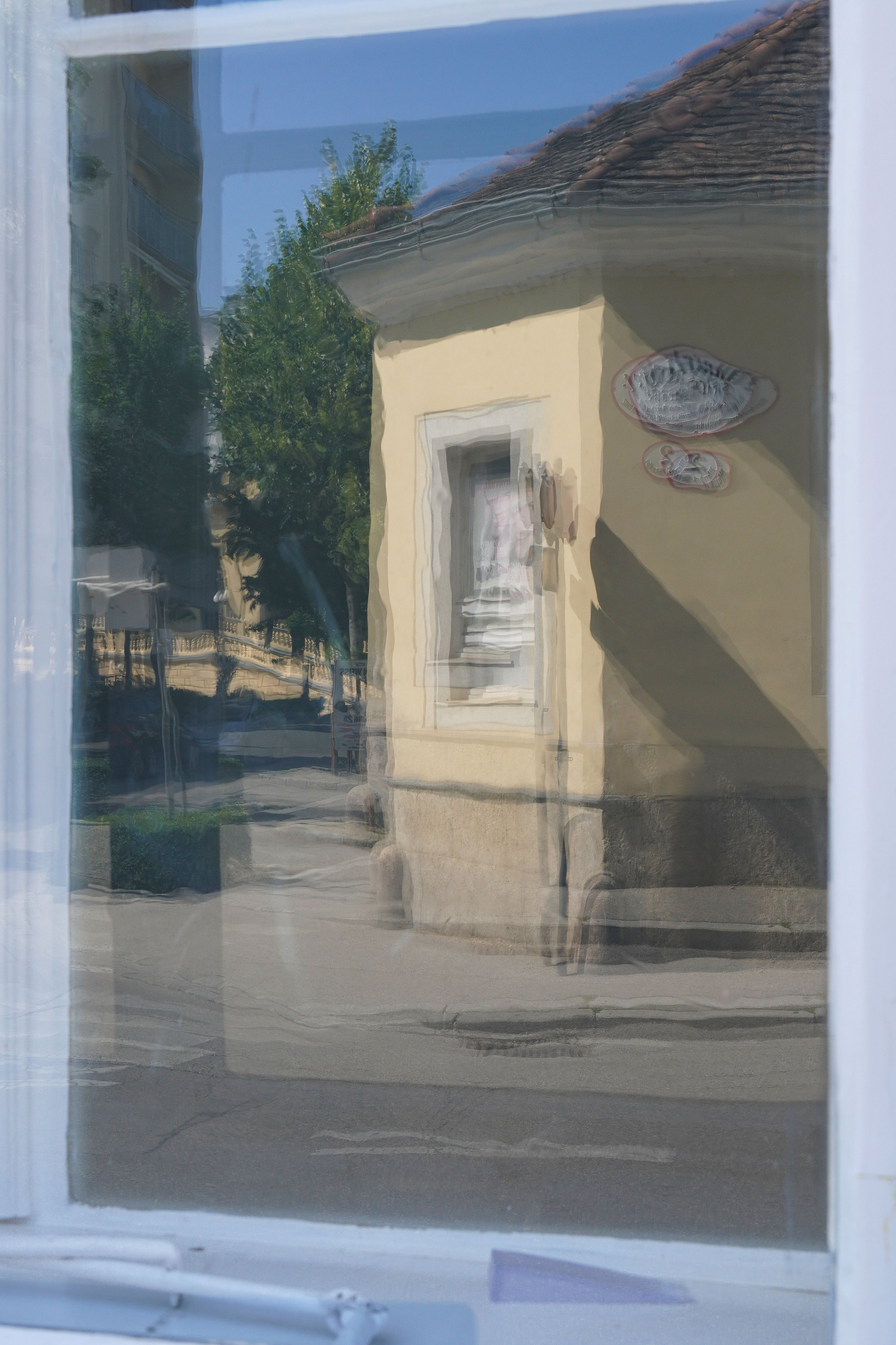 DSC09277.jpg