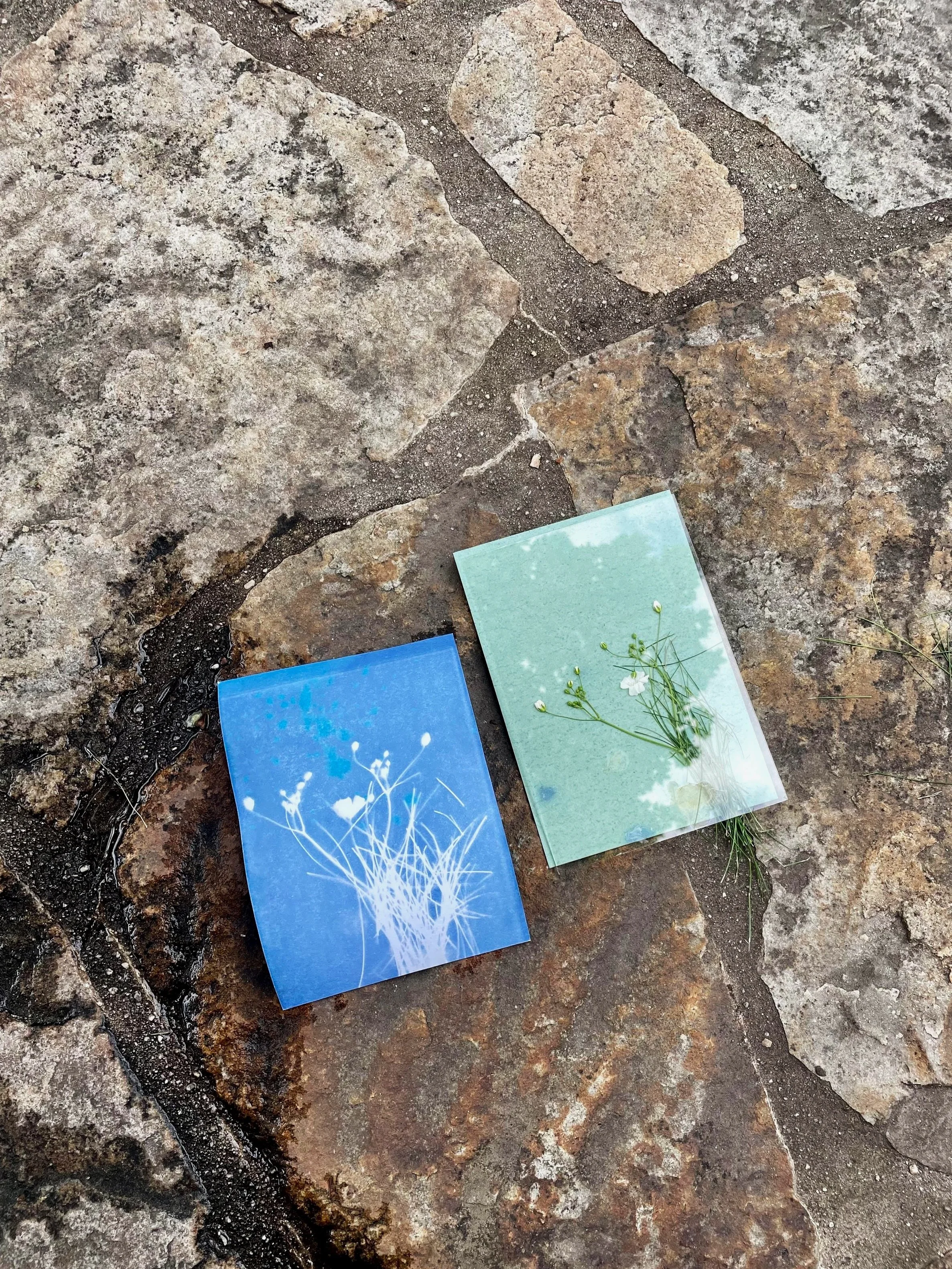 Two small mirrors placed on a stone pathway, reflecting sky and clouds, with real flowers and grass underneath and nearby.