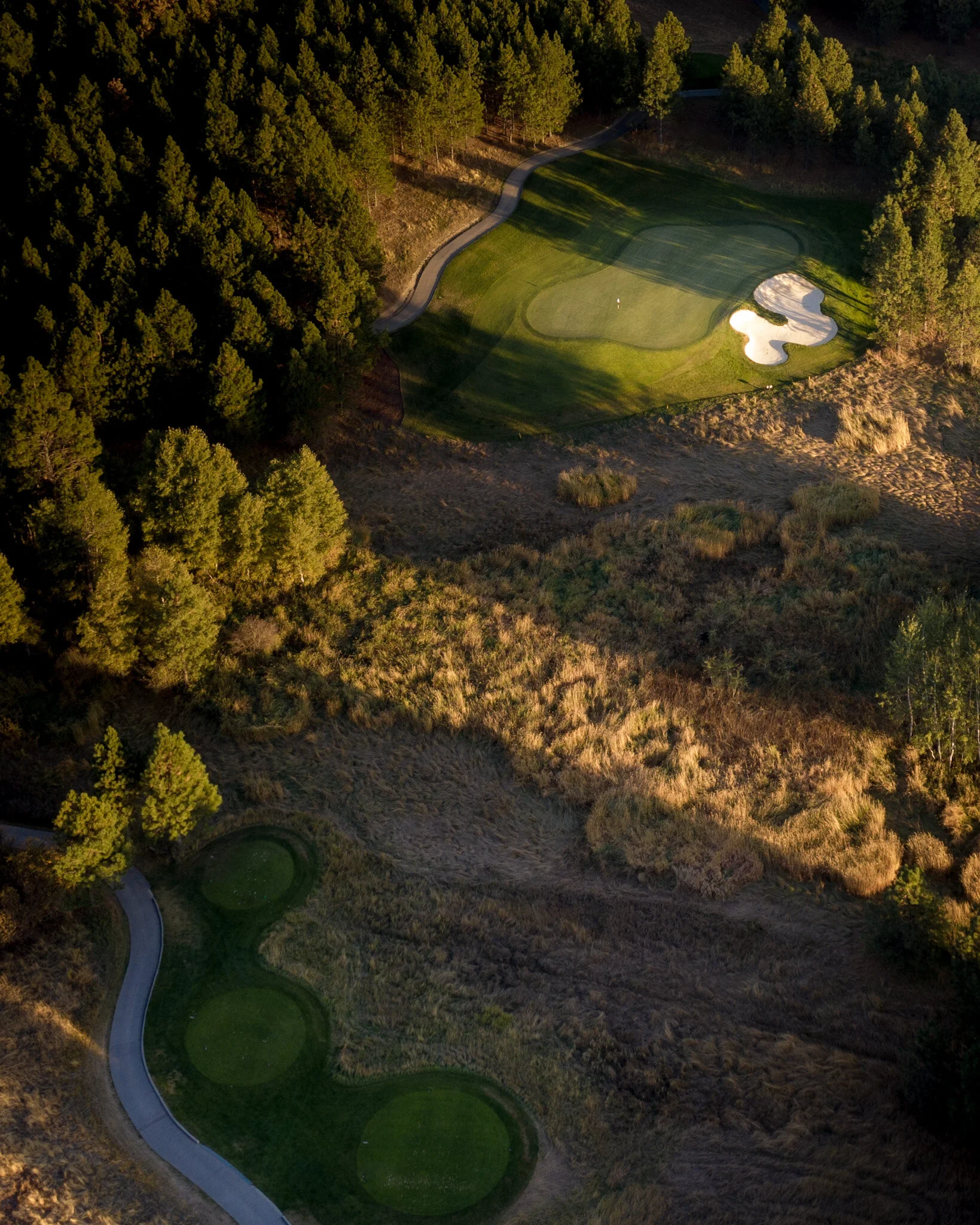 DJI_0299.jpg