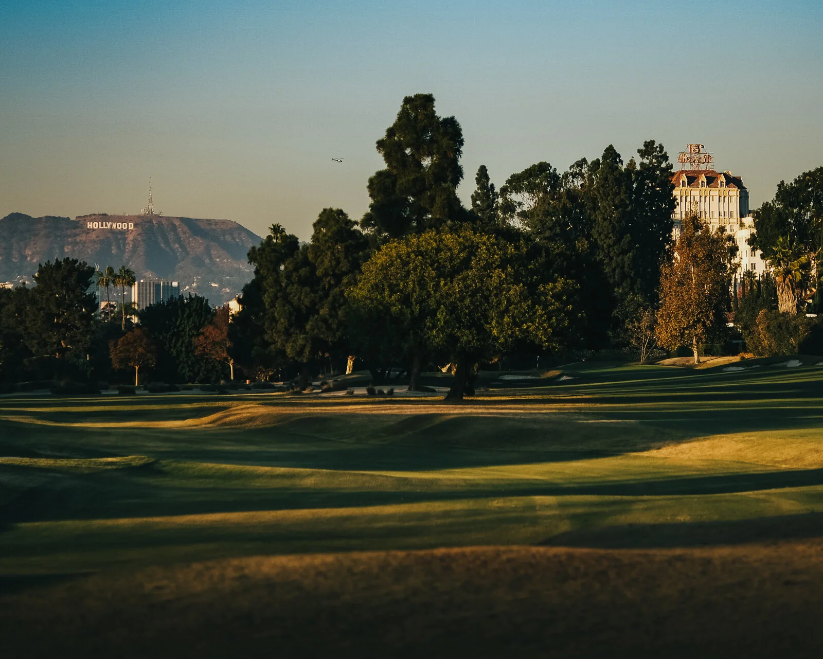 Wilshire Landscape.jpg