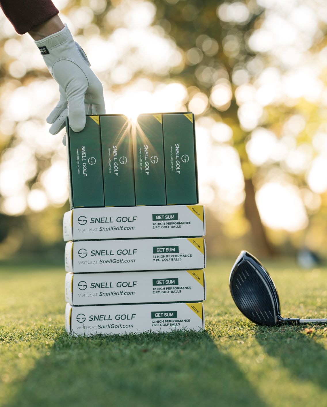 Screenshot 2024-10-15 at 8.42.30 AM.png