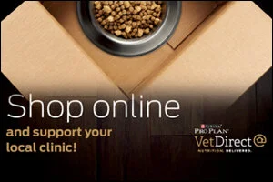 Client Services — Mueller Animal Hospital