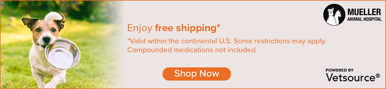 mueller's animal hospital