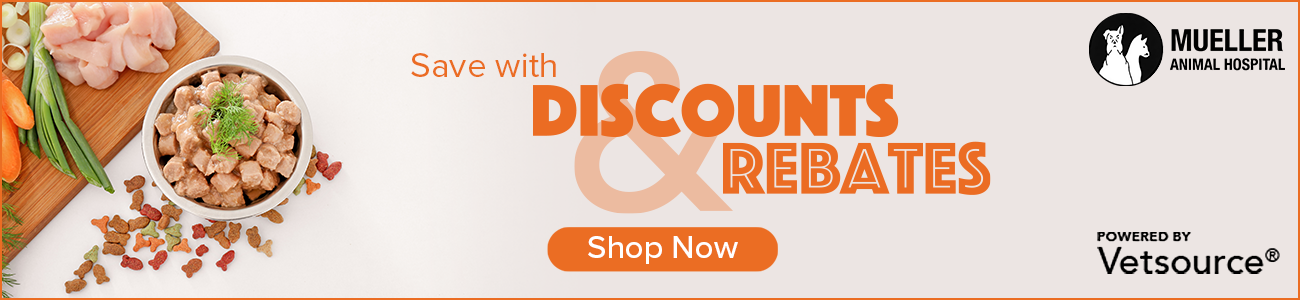 mueller's animal hospital