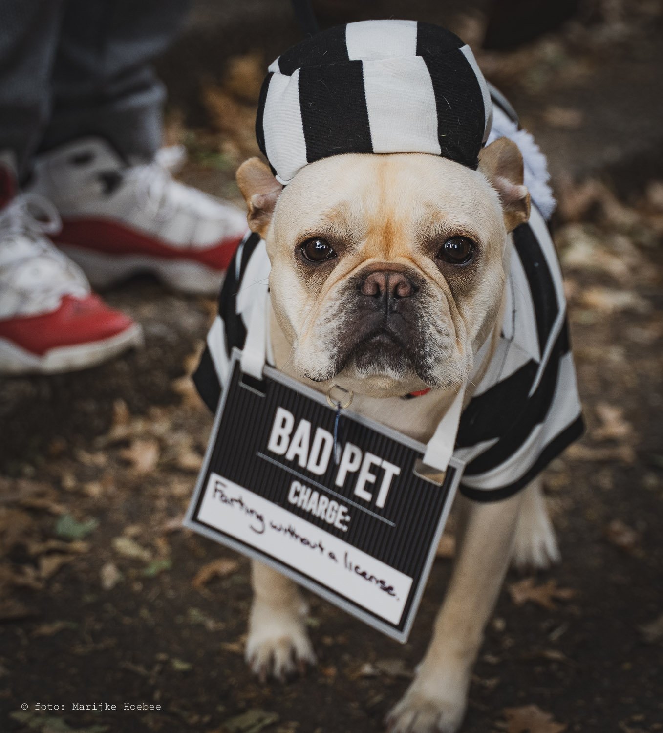 @Marijke Hoebee Halloween Dog Parade NYC-07.jpg