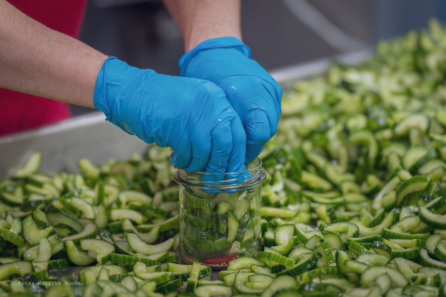 Persoon met blauwe handschoenen vult een glazen pot met gesneden courgette op een grote tafel met meer gesneden courgette.
