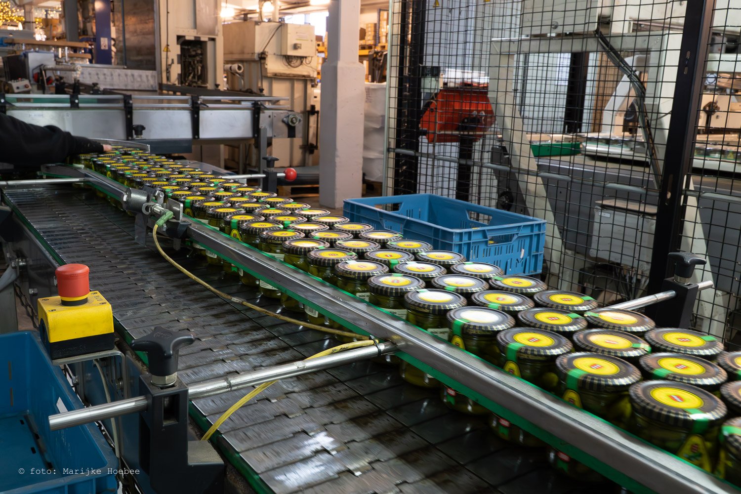 Lijn met potjes van mosterd op een productielijn in een fabriek.