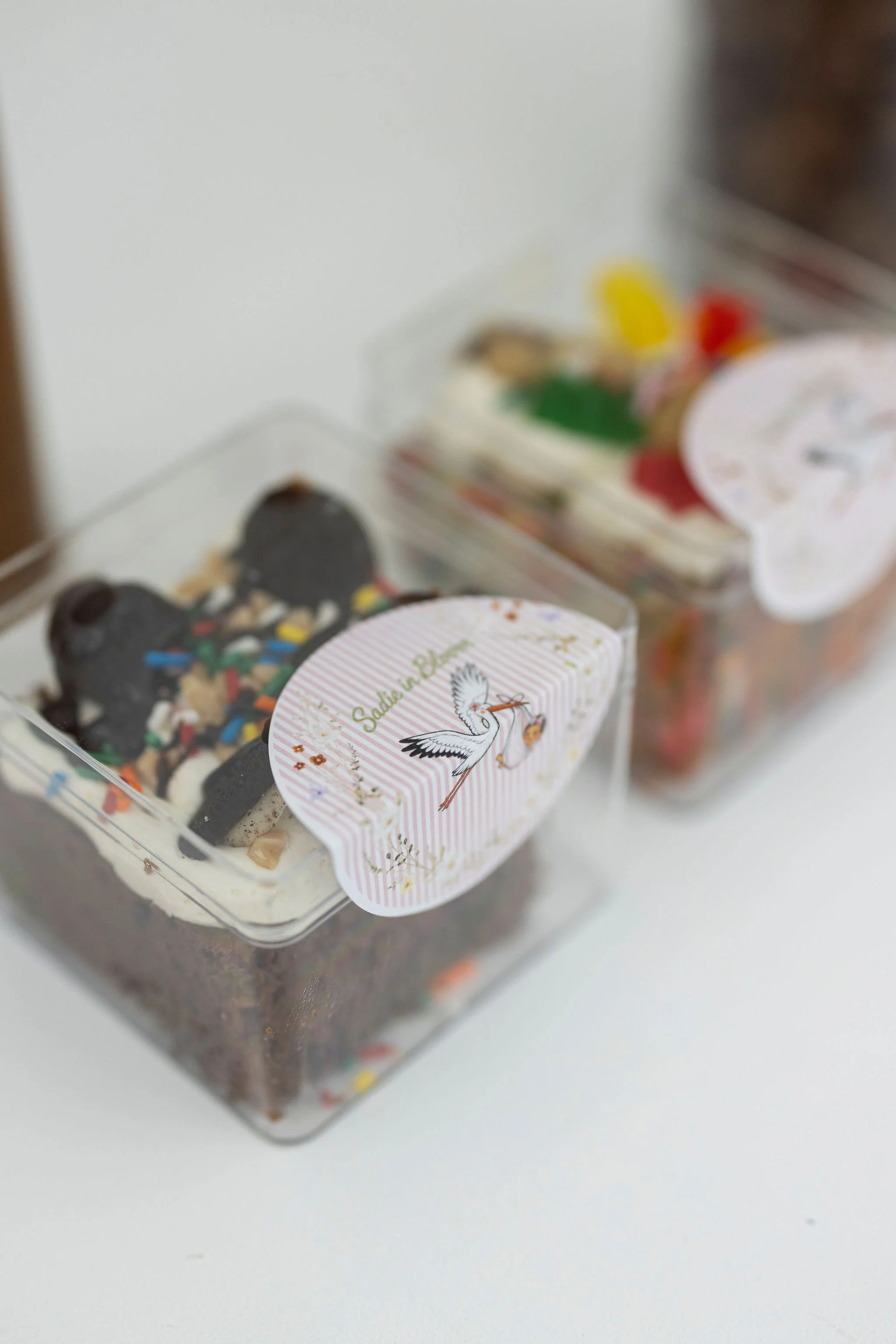 Close-up of a plastic container of ice cream with a stork illustration and the word "Sadeh" on the lid, with other containers of frozen treats in the background.