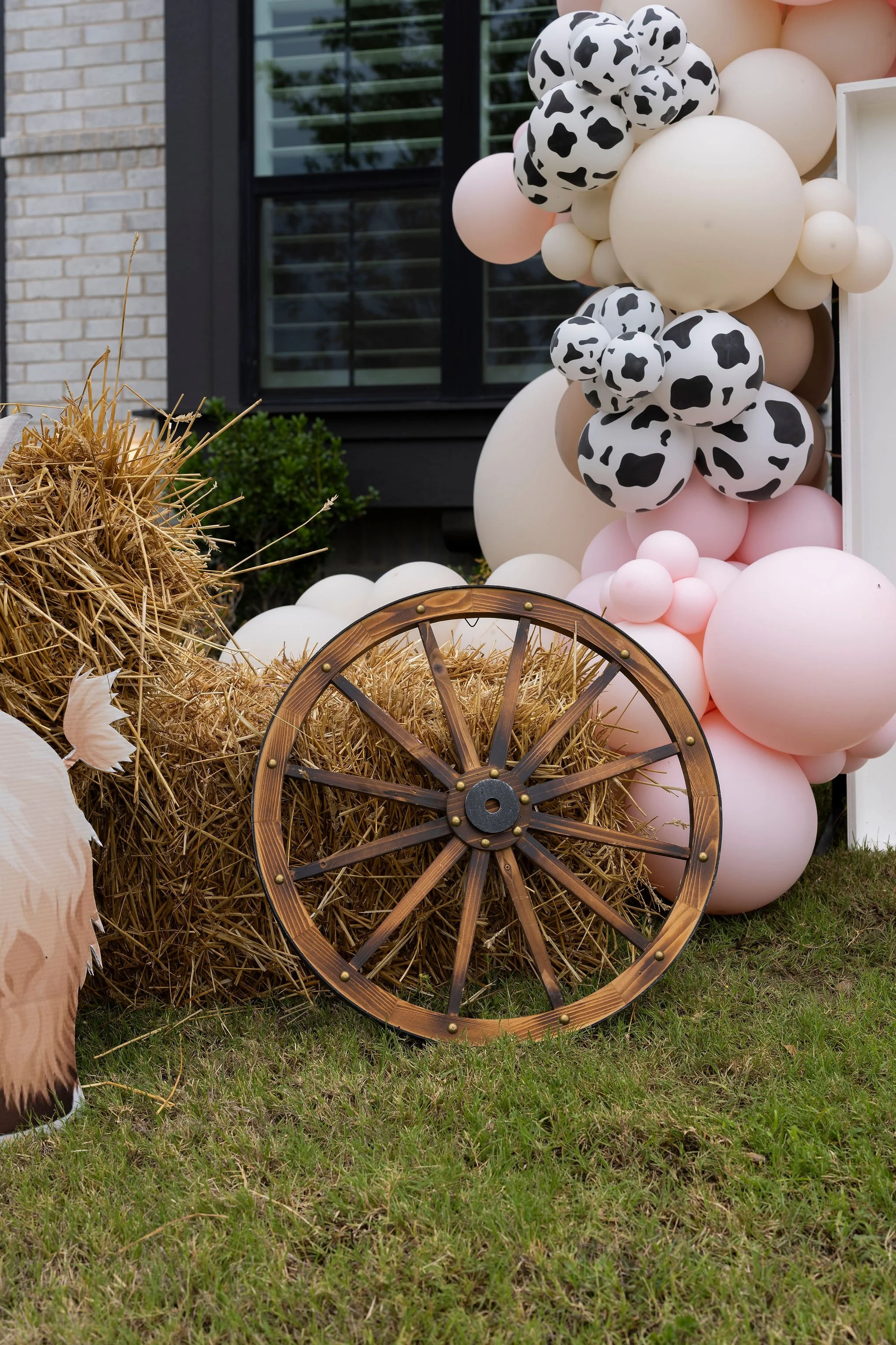 Decorative display of balloons in pink, white, cream, and black-and-white cow print with hay bales and a wooden wagon wheel in front, set outdoors in a grassy yard with a house and window in the background.