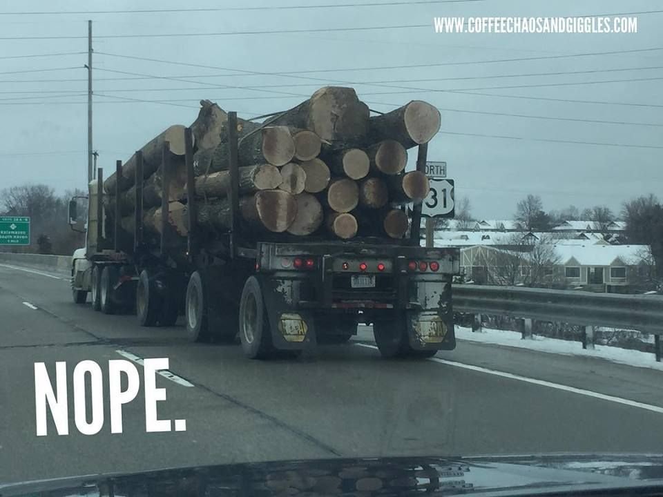 logging truck meme 3.jpg