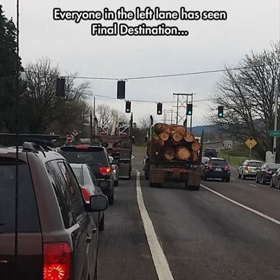 logging+truck+meme+5.jpg