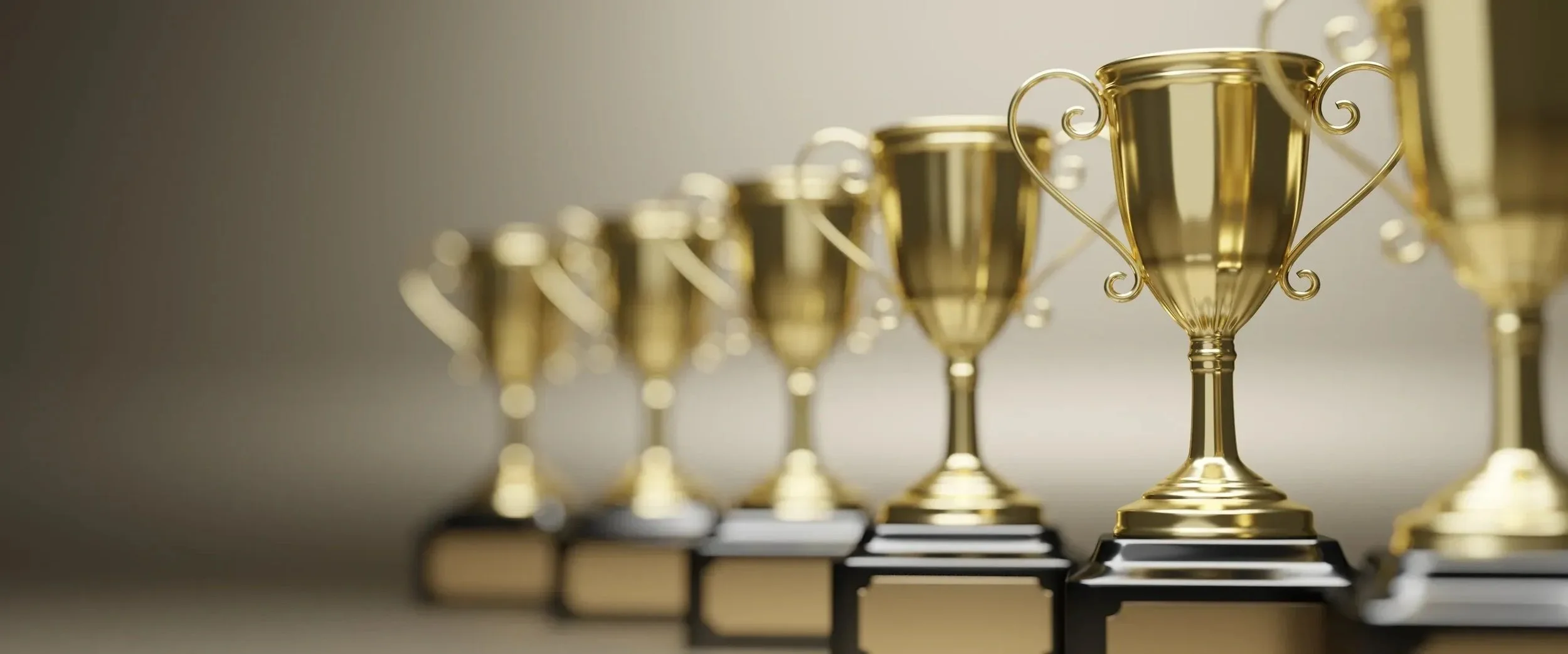 participation trophy banner