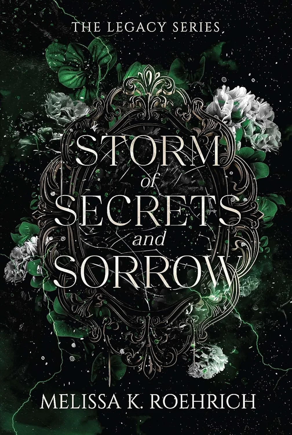 Melissa K Roehrich - Storm of Secrets and Sorrow.jpg