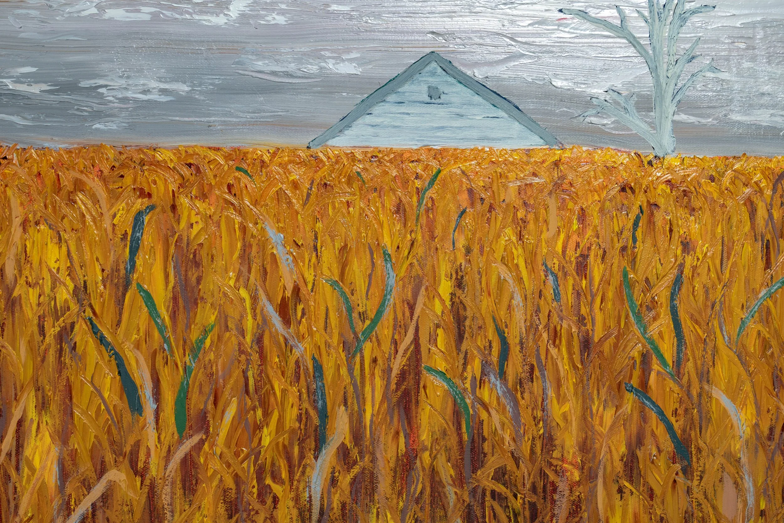 Cornfield-2.jpg