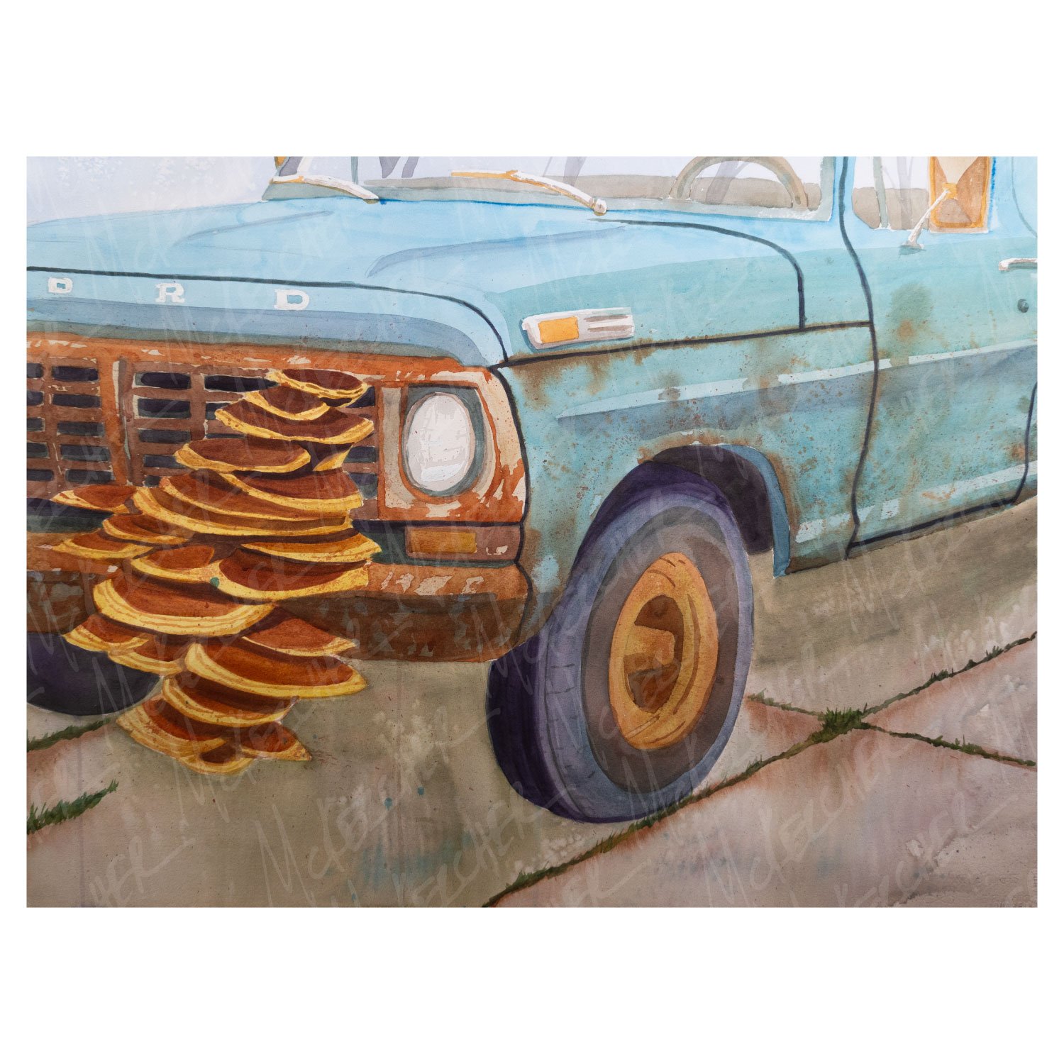 Hot Off the Grill 11"x14" Print