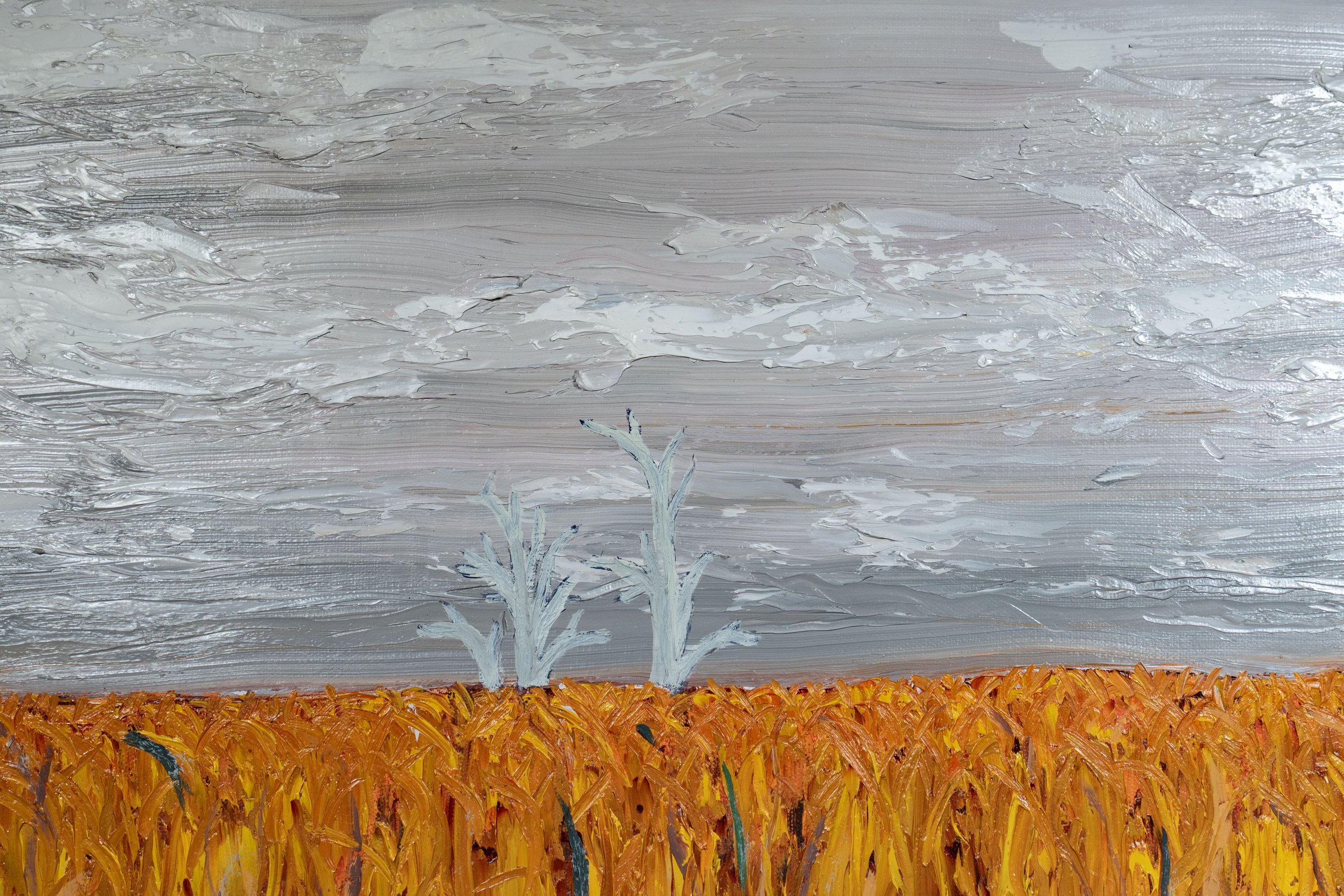 Cornfield-7.jpg