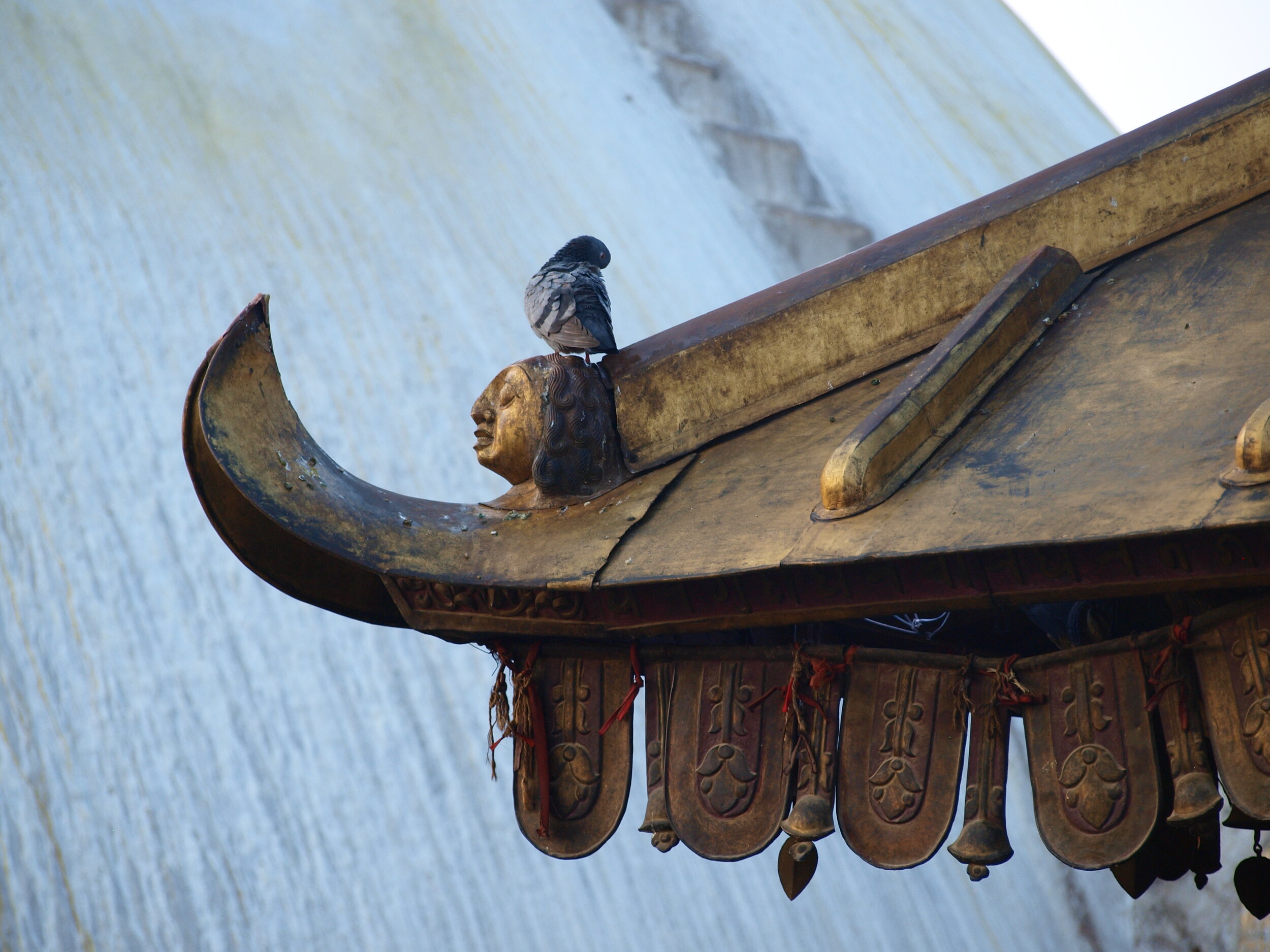 A pigeon sits ontop of a gilded head.