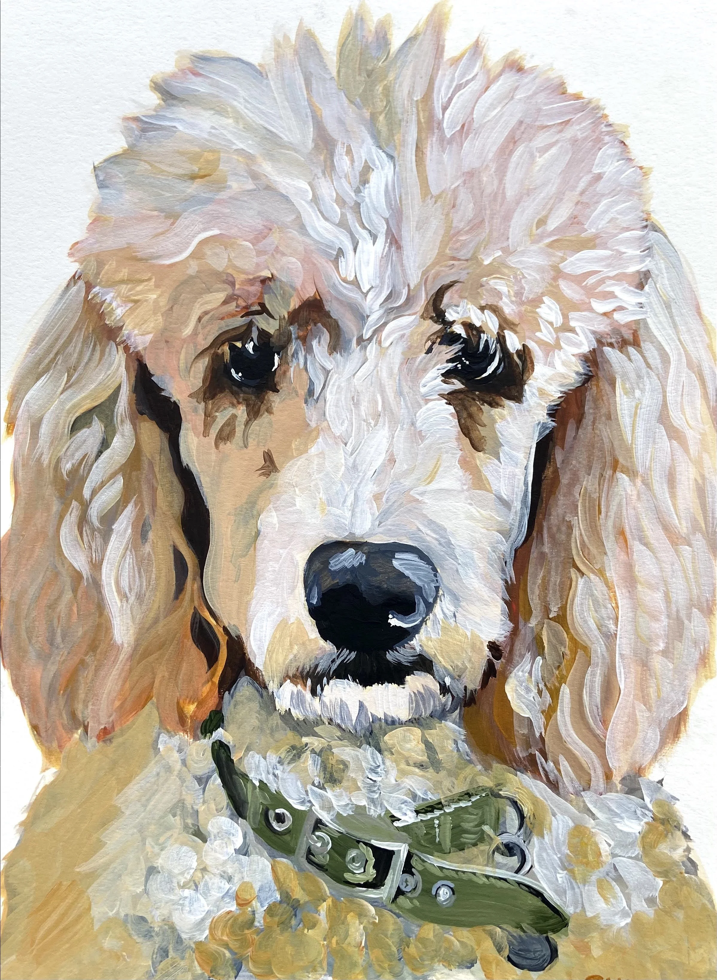 Janey Poodle.jpeg