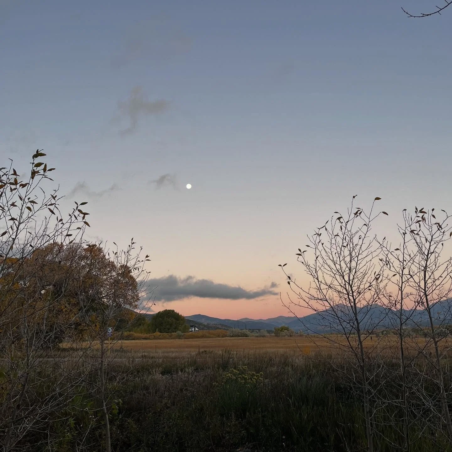 About this morning&hellip;