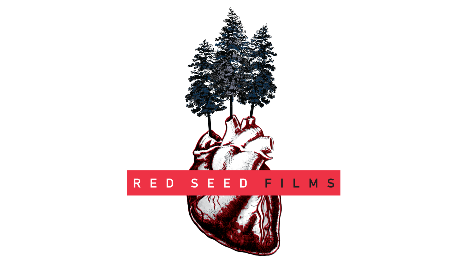 Red Seed Films