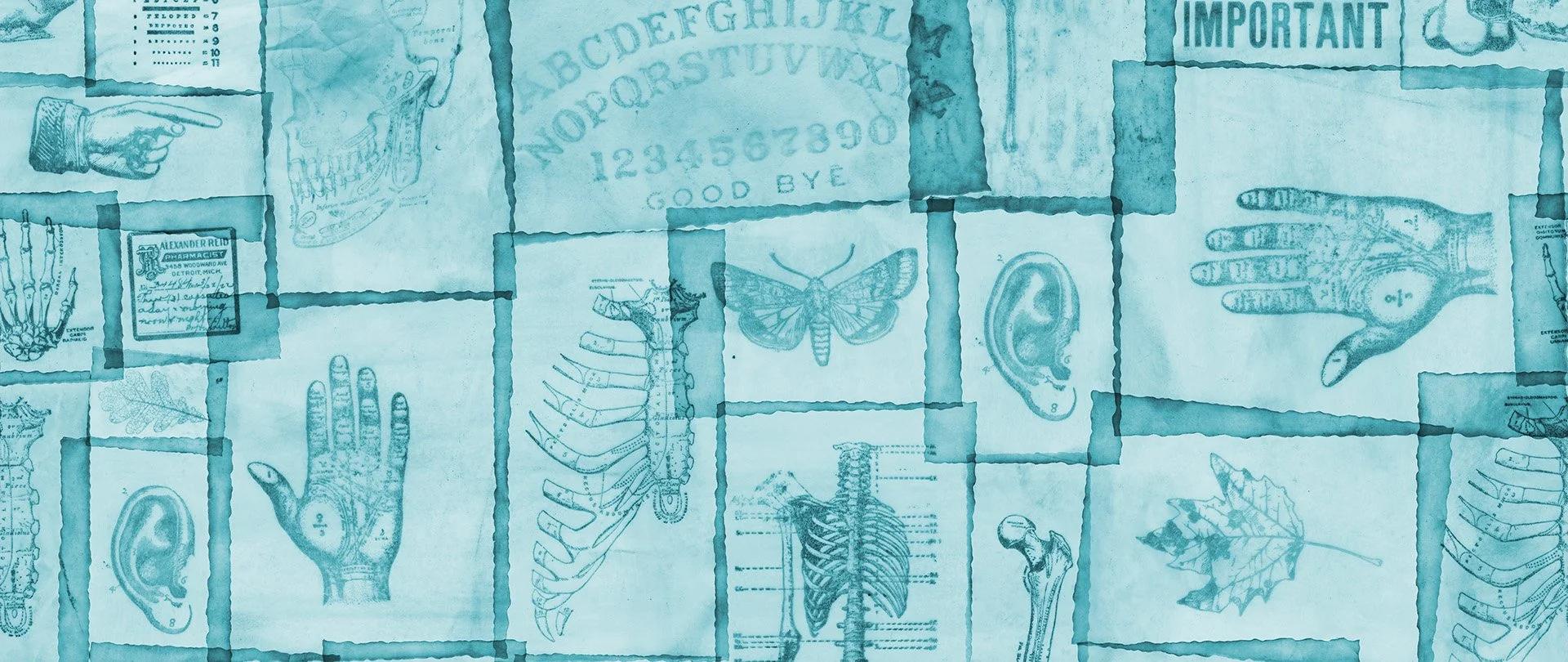 Ephemera teal.jpg