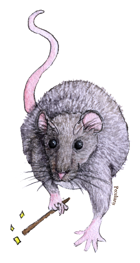 rat.png