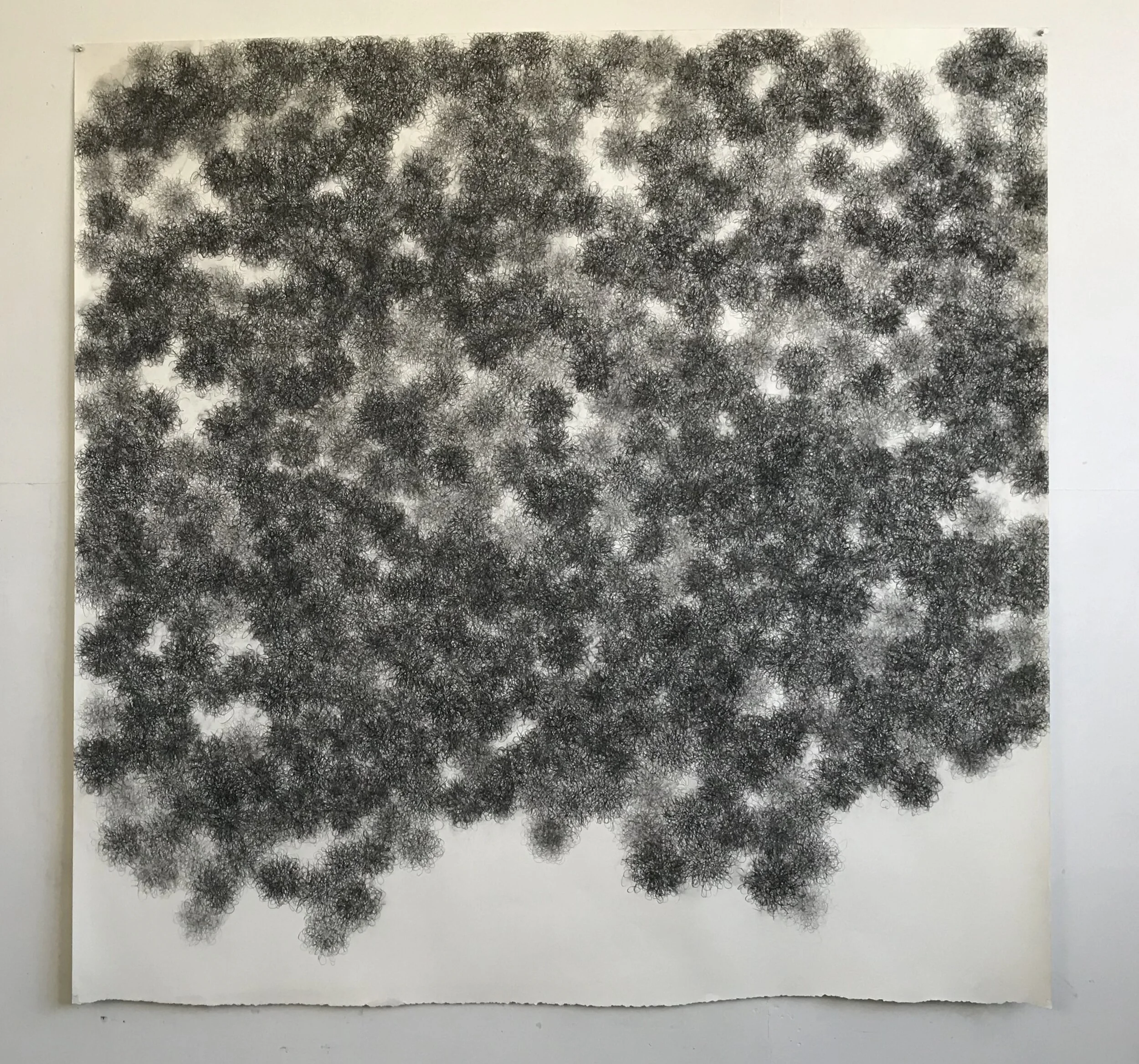 Untitled Poof 2014 66x68 charcoal paper.jpeg