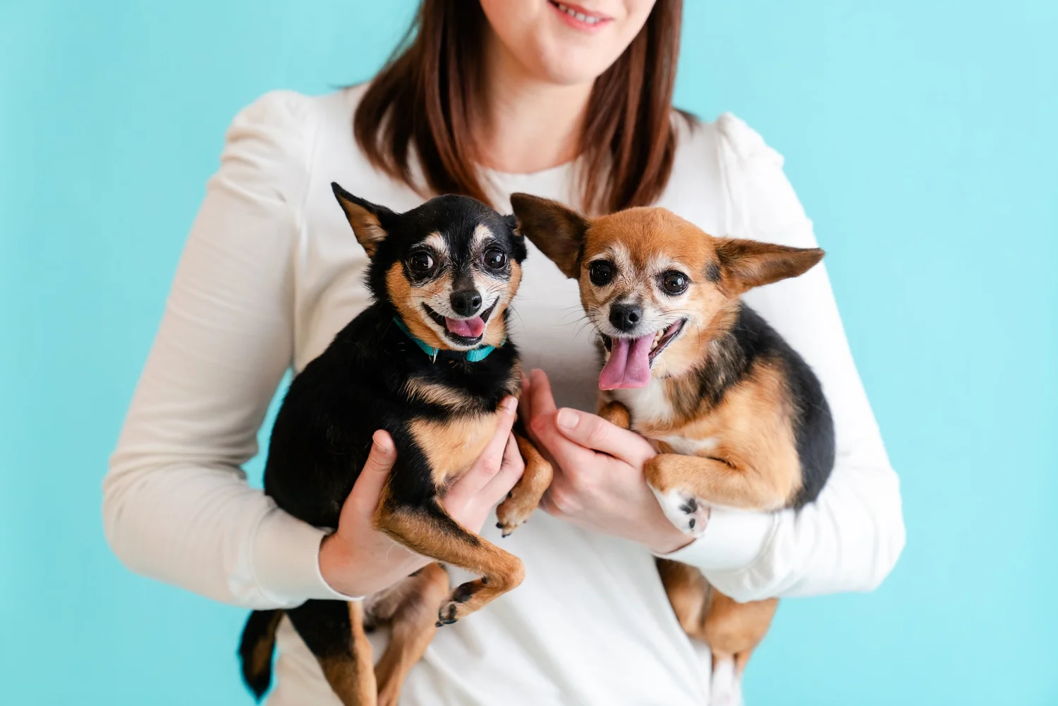 ABOUT — Brave Animal Rescue