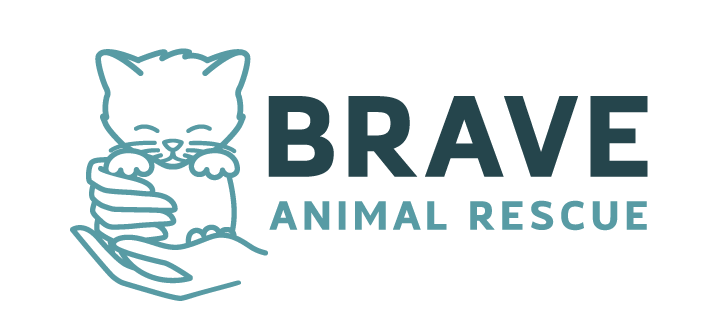 Brave Animal Rescue