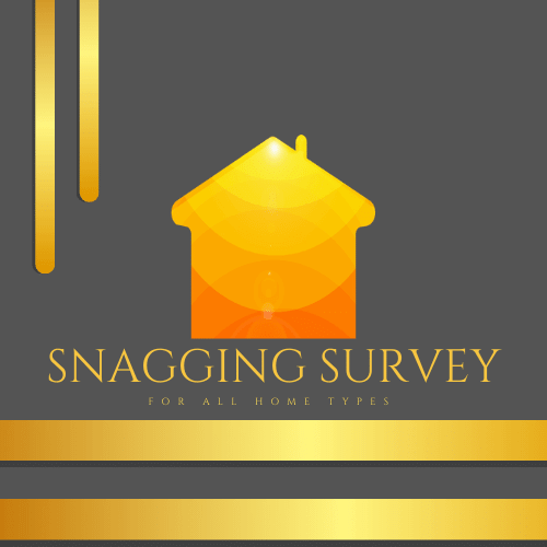 Snagging Survey.png
