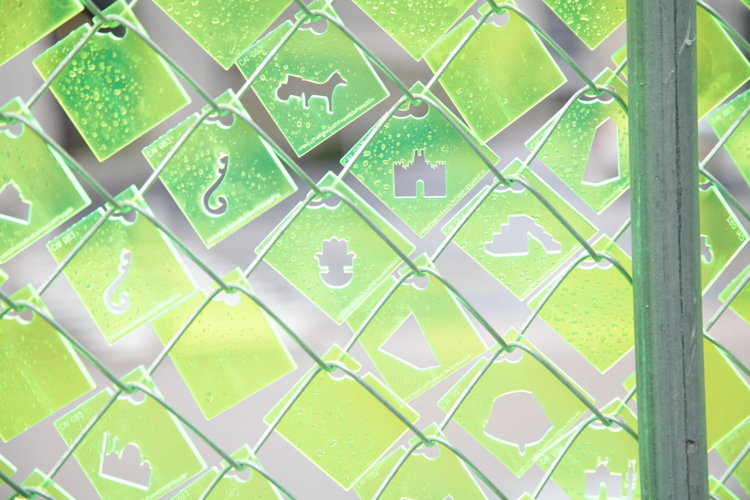 Memory Matrix: Fragment