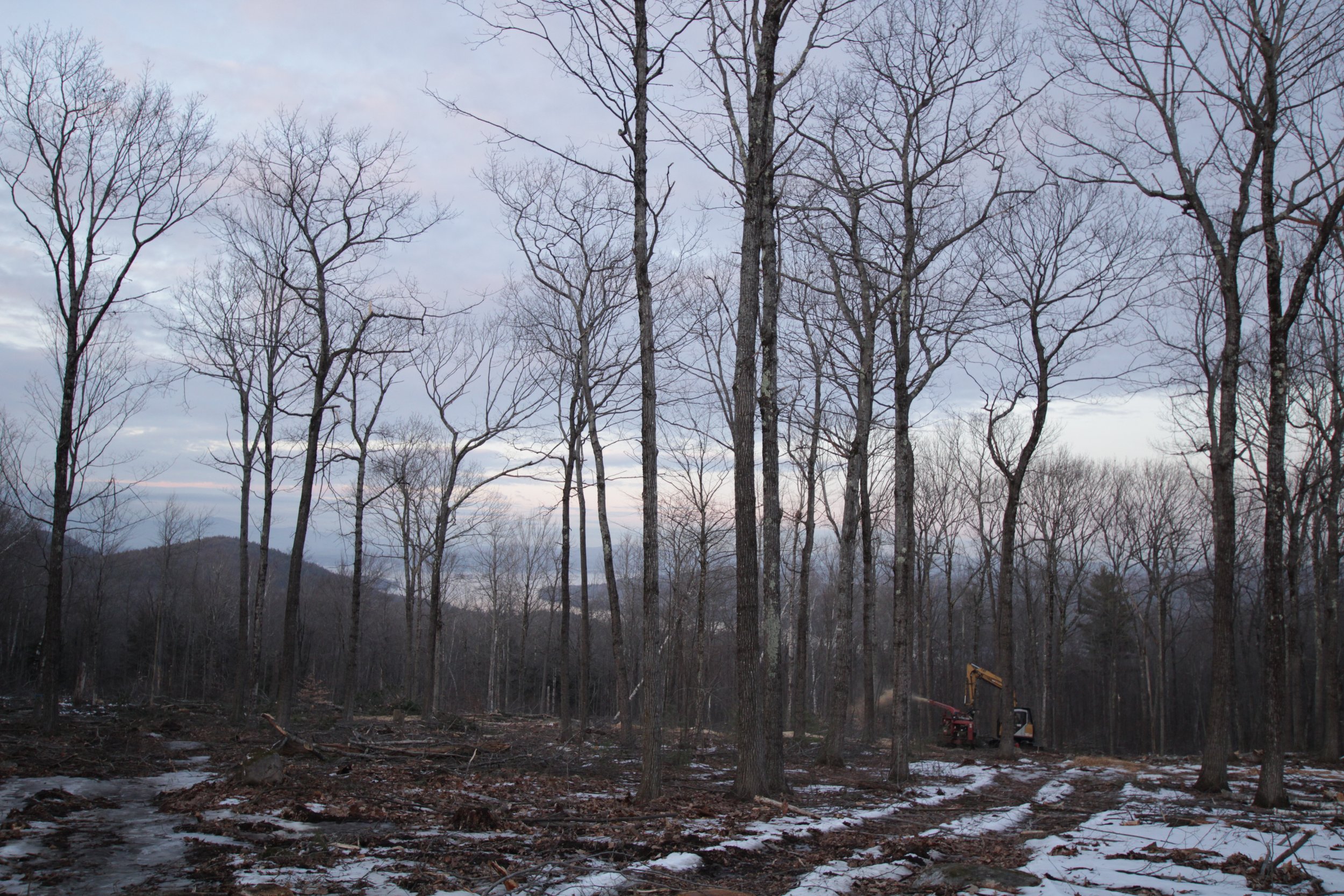 harvest to expand views of Lake Winnipesaukee