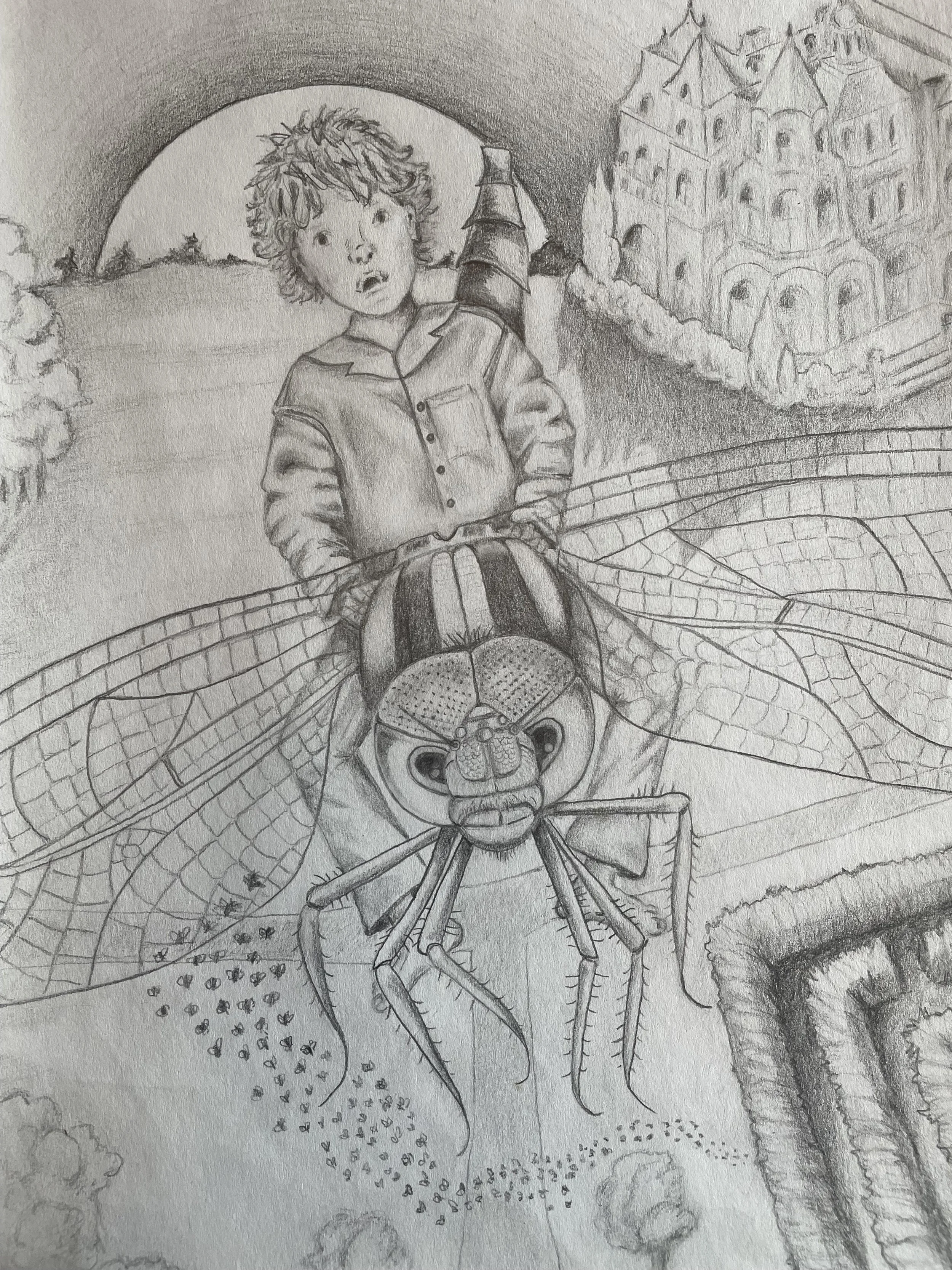 Edmund on the Dragonfly v1.jpg