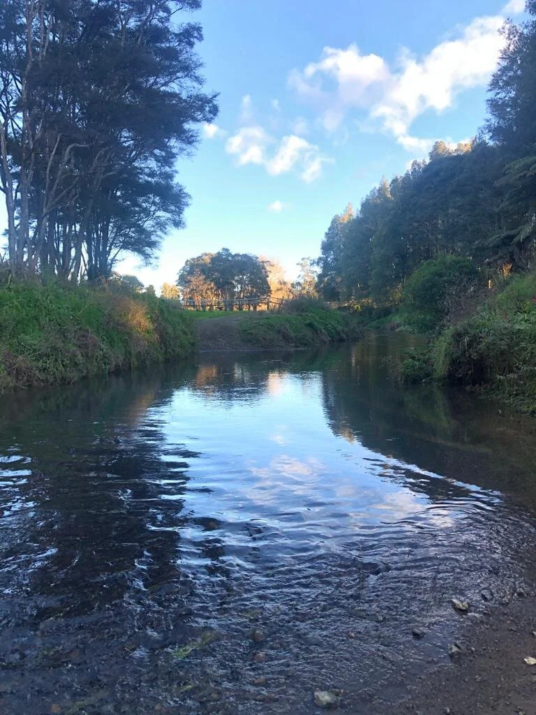 WhatsApp Image 2021-07-21 at 09.44.19 (6).jpeg