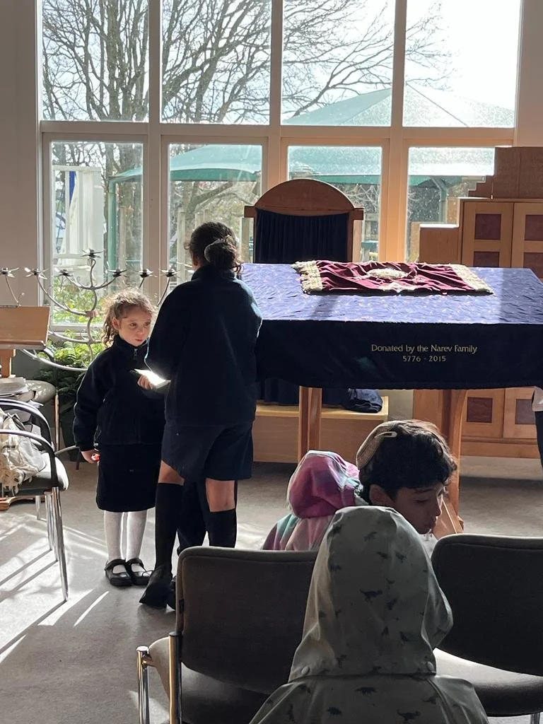 WhatsApp Image 2023-05-23 at 17.56.43.jpeg