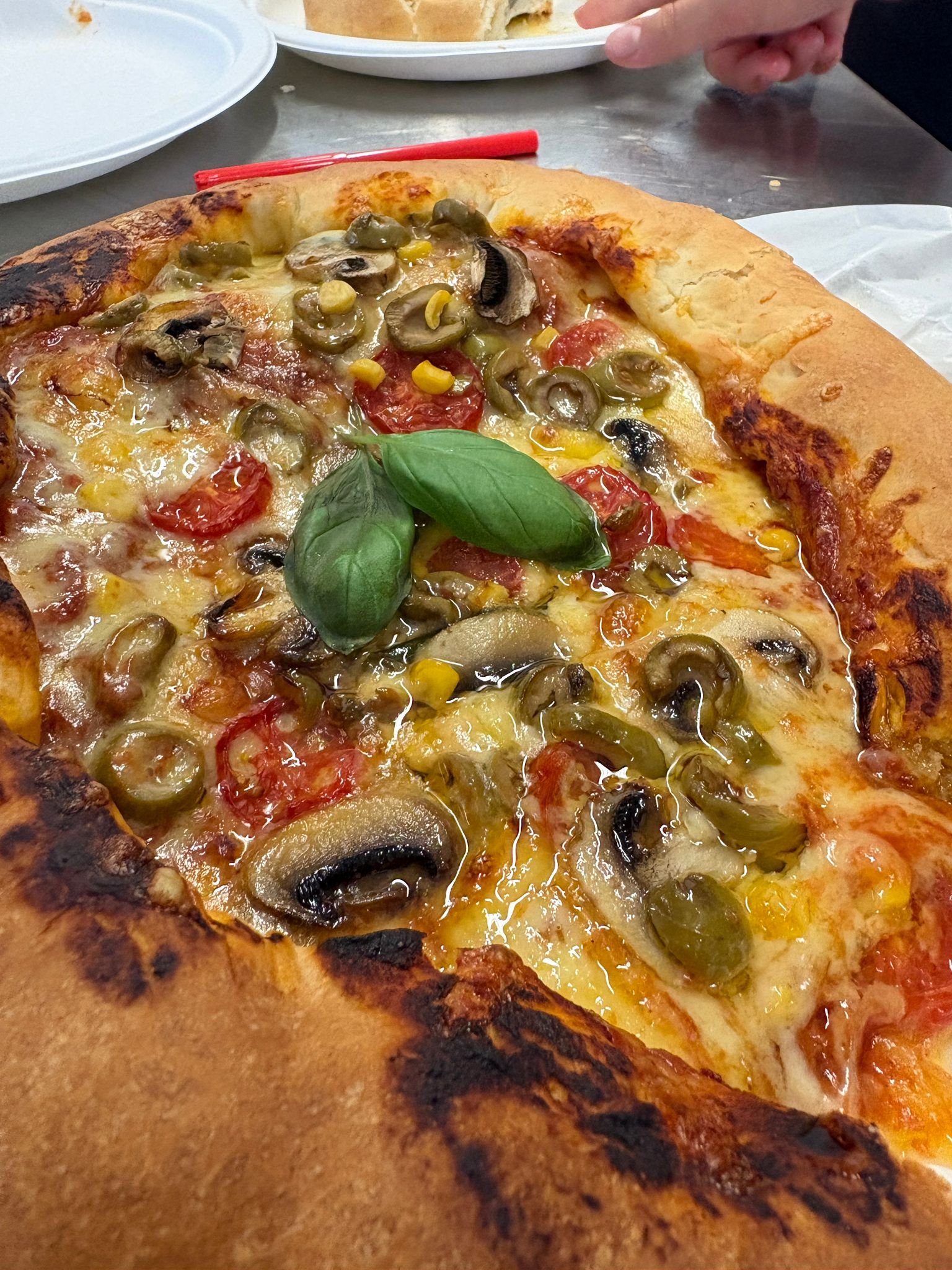 WhatsApp Image 2026-02-10 at 20.43.58 (2).jpeg