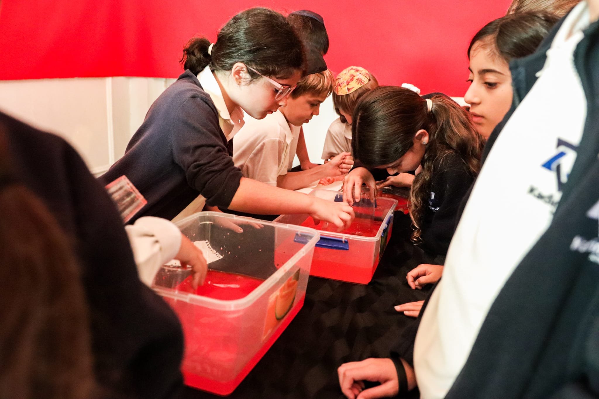 WhatsApp Image 2026-03-31 at 07.22.26 (2).jpeg