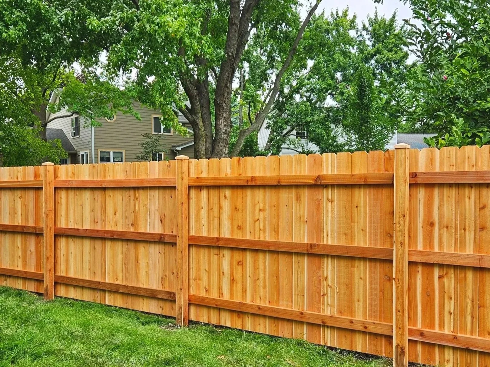 Red cedar privacy fence in Naperville, IL