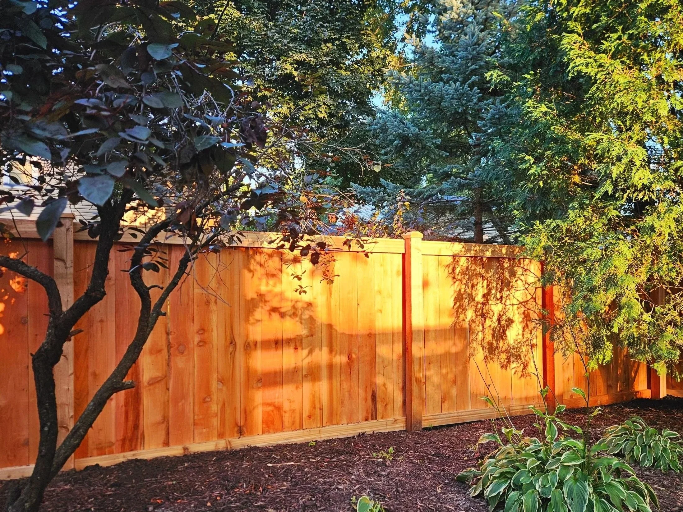 Cedar traditional privacy fence in Naperville, IL