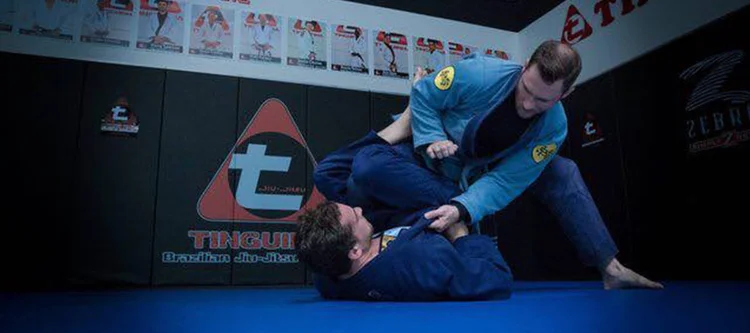 Tinguinha Brazilian Jiu-Jitsu Academy business photo