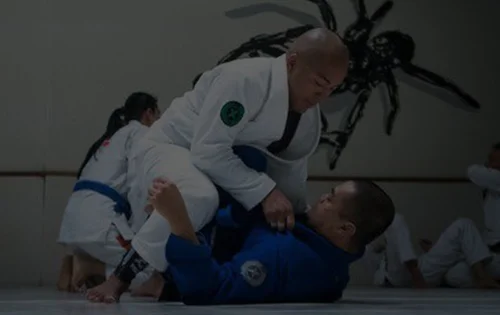 Tinguinha Brazilian Jiu-Jitsu Academy, business photo 4