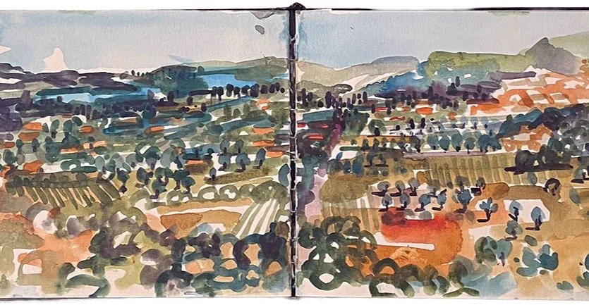 From Sketch to Studio Painting 

These are pages from my Athens sketchbook from an art residency in 2018 @irisartcentre &mdash;captured on Mount Parnitha, looking over the vineyards and olive groves of North Athens. 
What struck me in that moment was