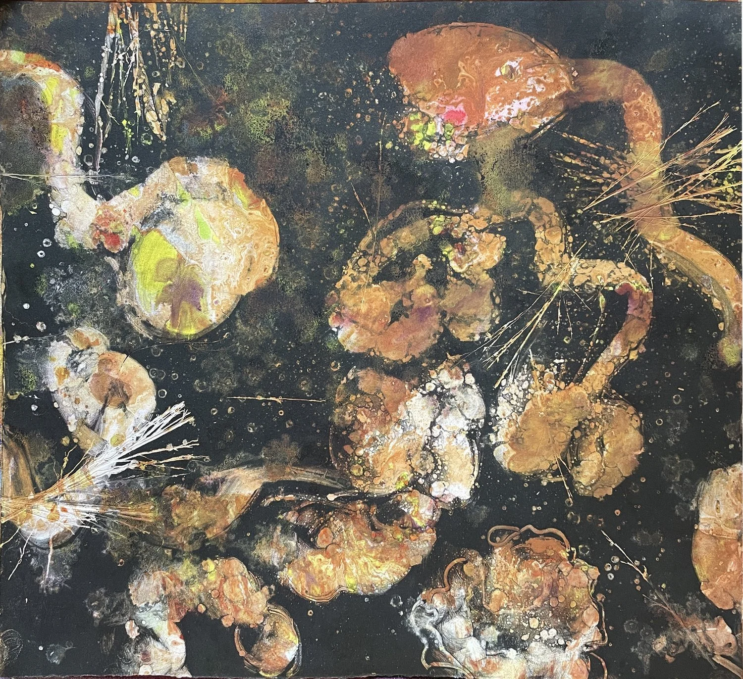 Neiger_Sprouted_20.5x20.5-framed_black.jpeg