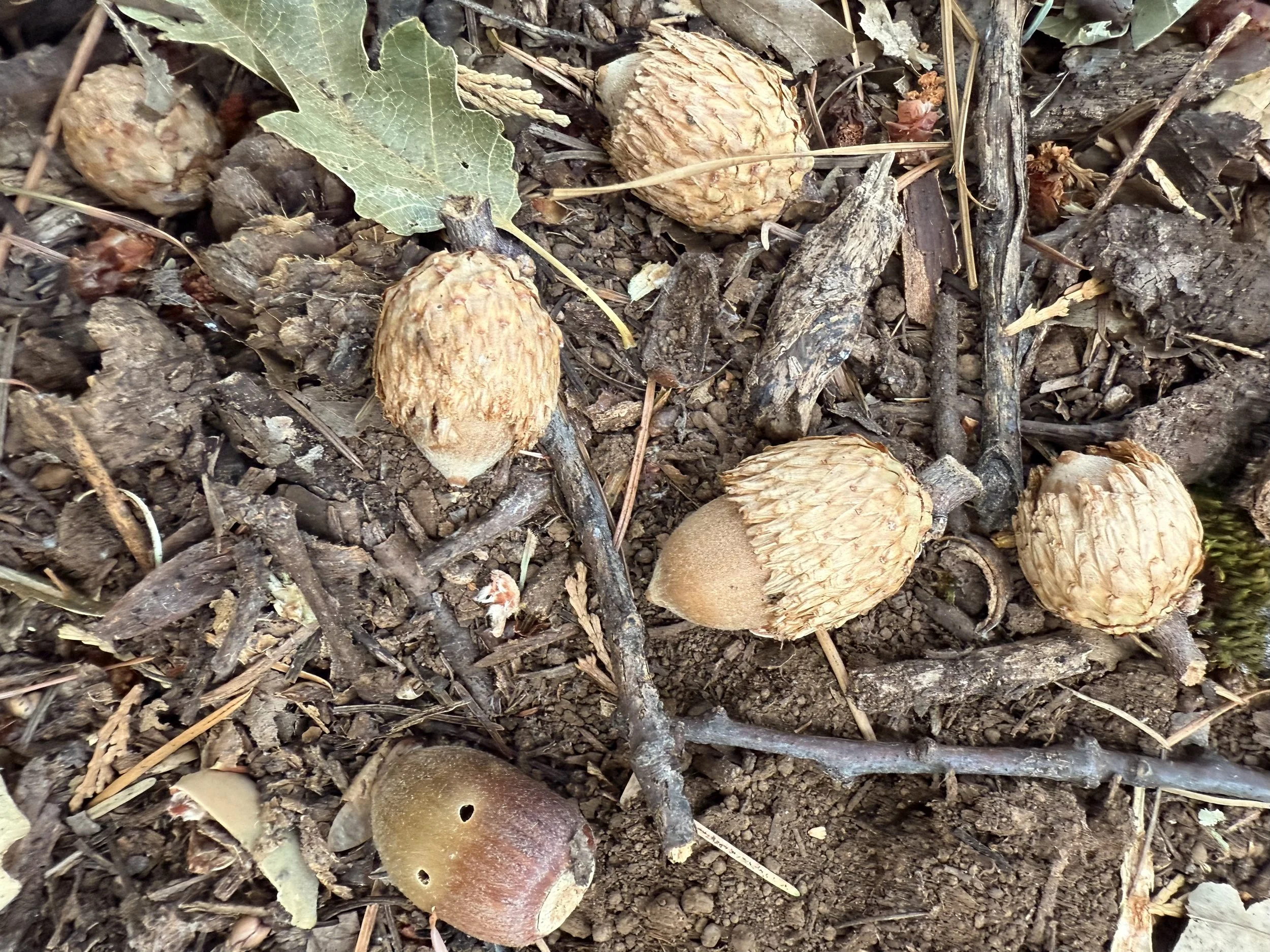 September Snapshots